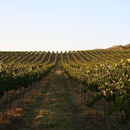 Mayfield Vineyard Ориндж Екстер'єр фото