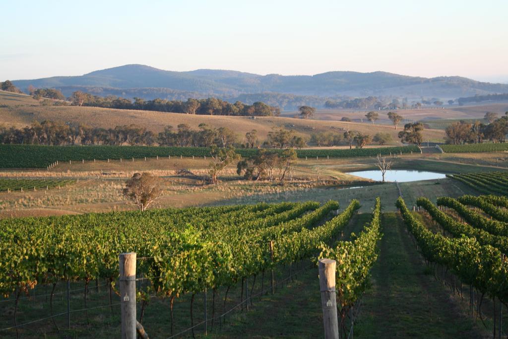 Mayfield Vineyard Ориндж Екстер'єр фото