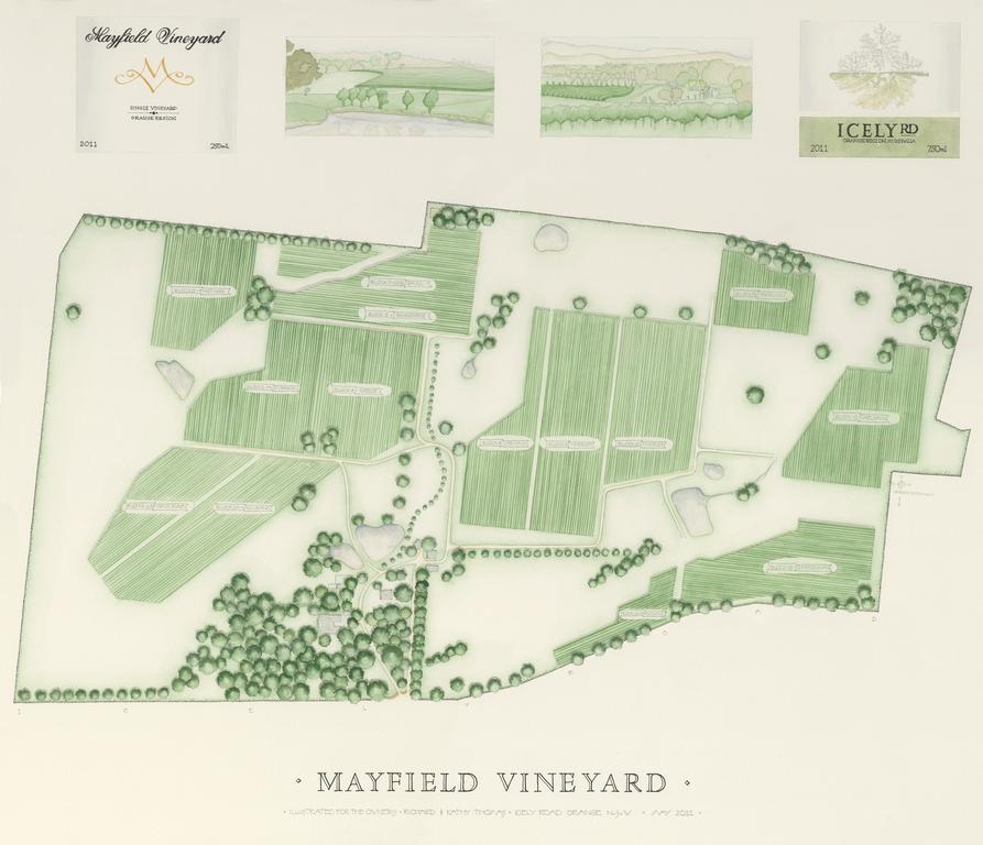 Mayfield Vineyard Ориндж Екстер'єр фото