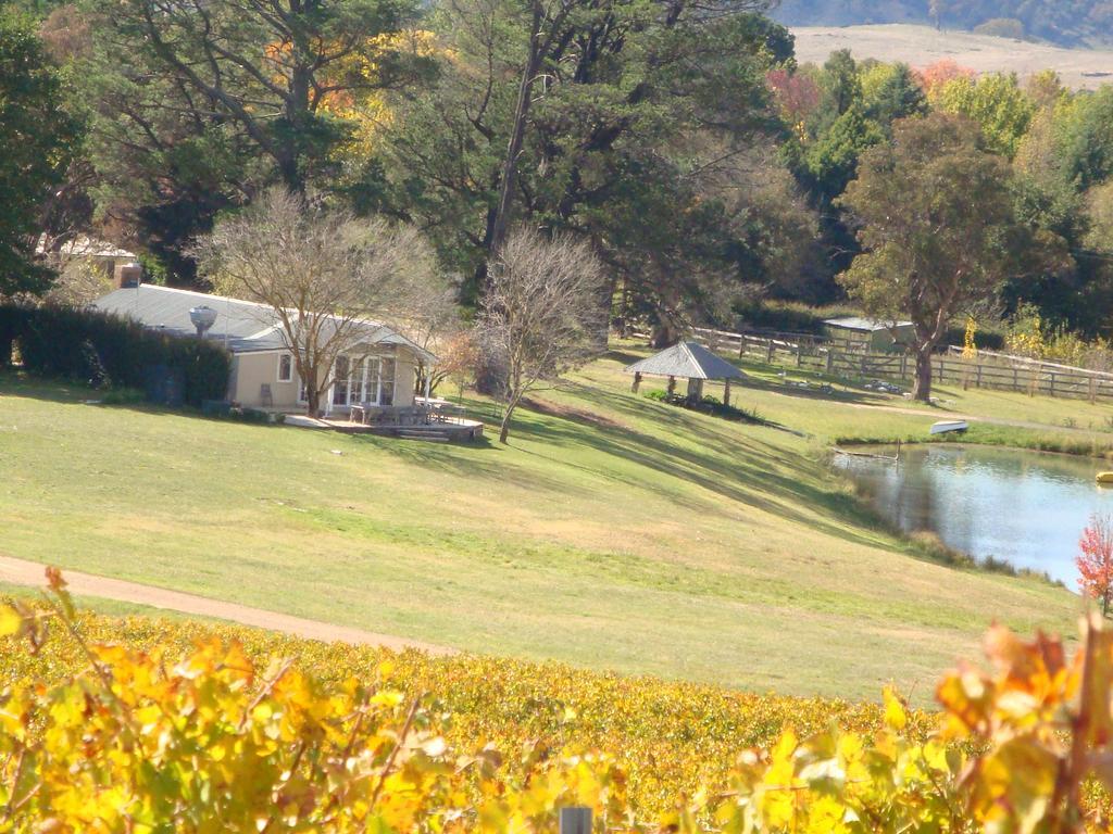 Mayfield Vineyard Ориндж Екстер'єр фото