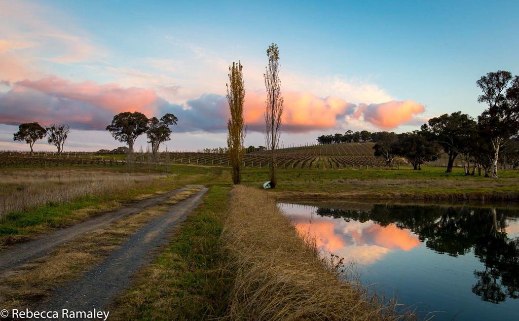 Mayfield Vineyard Ориндж Екстер'єр фото
